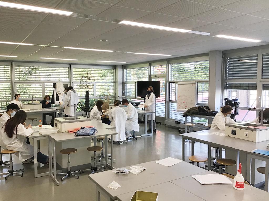Assimilation par l'expérience Ecole Moser
