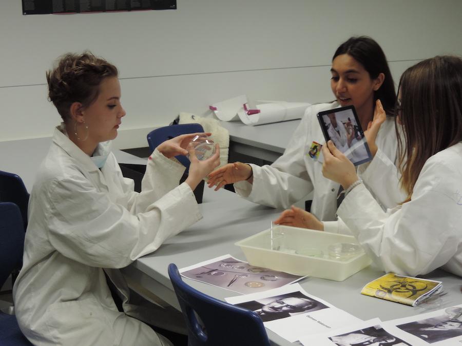 Ecole Moser Nuit des sciences